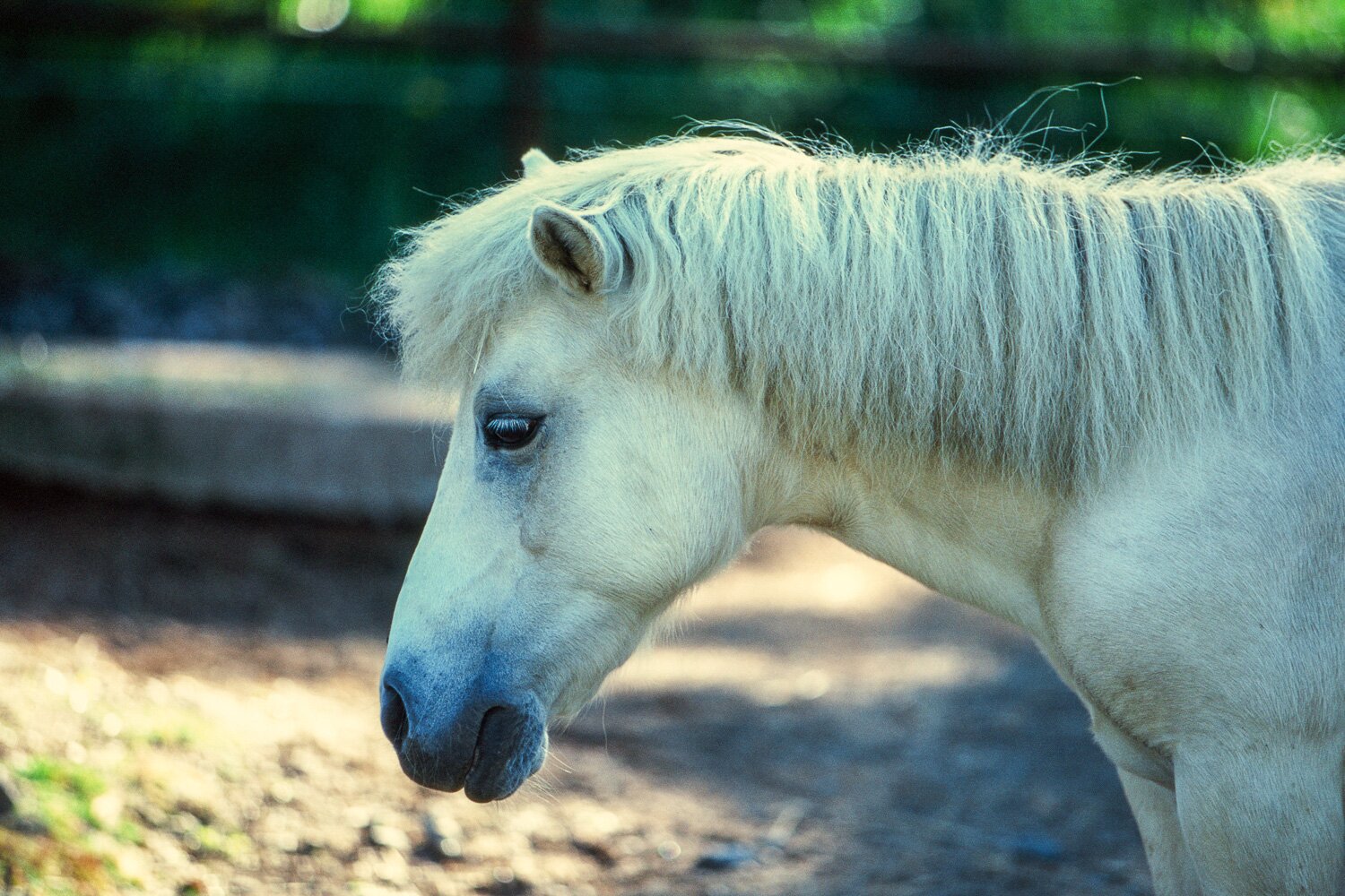 Filmikuvauksessa ei ole järkeä!